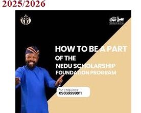 Nedu Foundation Scholarship 2025/2026