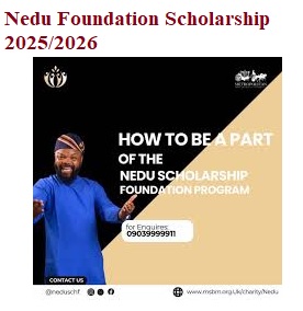 Nedu Foundation Scholarship 2025/2026