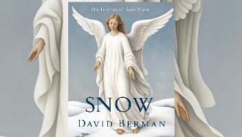 Detailed Summary and Analysis of David Berman’s Poem “Snow”