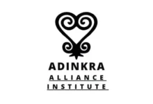 Adinkra Fellowship: Empowering Rising African and Diaspora Leaders (2026 Cohort)
