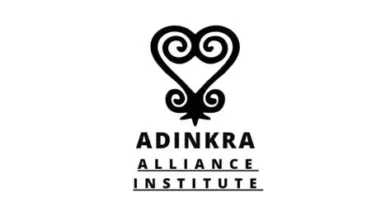 Adinkra Fellowship: Empowering Rising African and Diaspora Leaders (2026 Cohort)