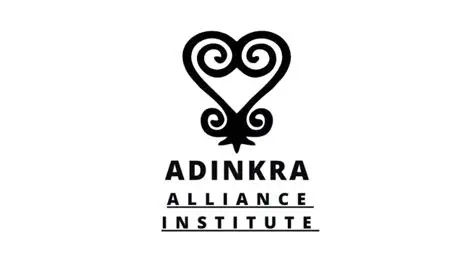 Adinkra Fellowship: Empowering Rising African and Diaspora Leaders (2026 Cohort)