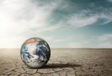 Apply to the Climate Communication Fund grants for CSOs worldwide