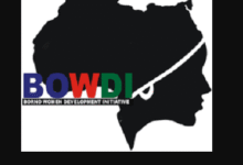 Borno Women Development Initiative (BOWDI) – Job Opportunities