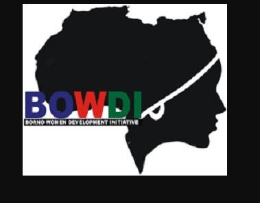 Borno Women Development Initiative (BOWDI) – Job Opportunities