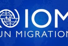 Career Opportunities with IOM Nigeria in Abuja and Lagos