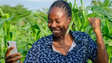 NADI Enumerators Recruitment: Transforming Agriculture in Northern Nigeria