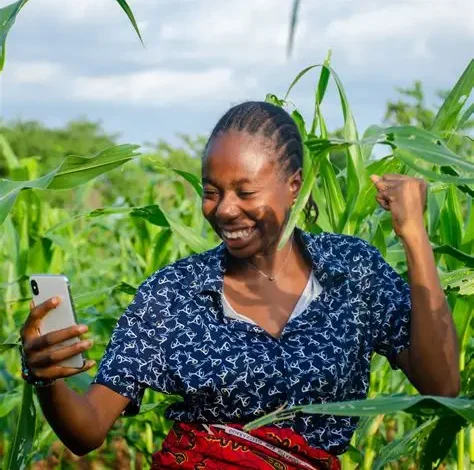 NADI Enumerators Recruitment: Transforming Agriculture in Northern Nigeria
