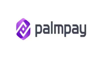 Job Opening: Data Analyst at PalmPay Limited