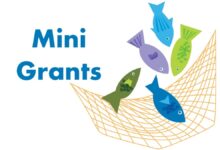 Mini-Grant Opportunity: Monitoring Procurement Across Nigeria