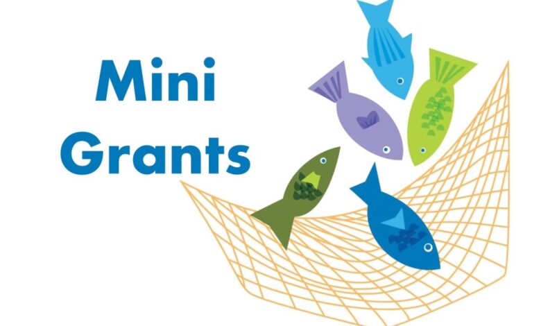 Mini-Grant Opportunity: Monitoring Procurement Across Nigeria