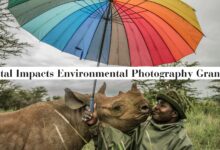 2025 Vital Impacts Environmental Photography Grant