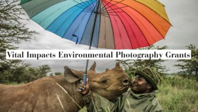 2025 Vital Impacts Environmental Photography Grant