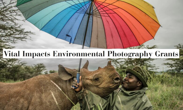 2025 Vital Impacts Environmental Photography Grant