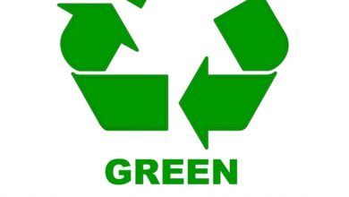 Green Economy Entrepreneurship Program for Changemakers
