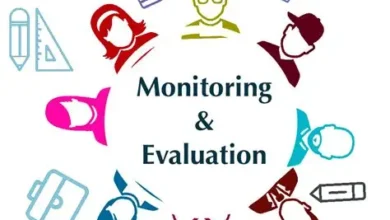 Lafiya: Monitoring & Evaluation Fellow (Remote Opportunity)