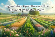 Title: Community Mobilizers (4 Positions) – Regenerative Pollinator-Microbiome Agriculture Initiative