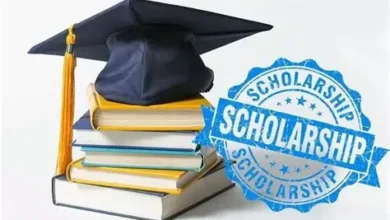 Karen and Edward Adebanjo Foundation Scholarship 2025