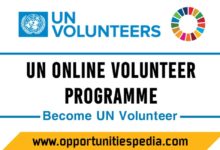 UN Online Volunteer Program 2025