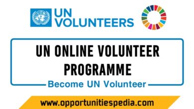 UN Online Volunteer Program 2025