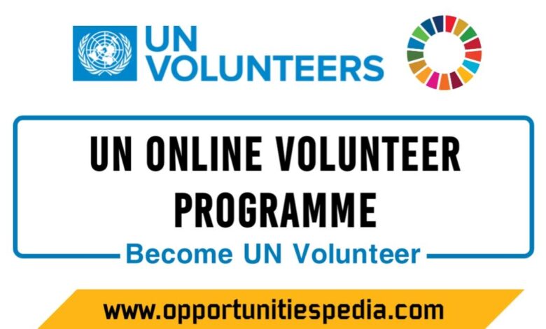 UN Online Volunteer Program 2025