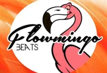 Freelance Web Content Writer at Flowmingo: Earn for Your LinkedIn Content