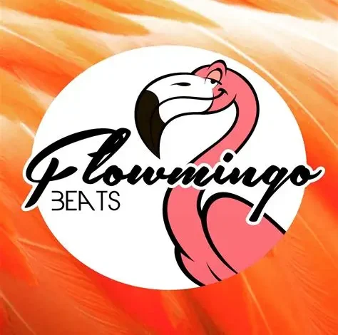 Freelance Web Content Writer at Flowmingo: Earn for Your LinkedIn Content