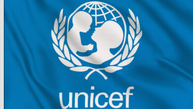 UNICEF Online Internship Program: Paid, Remote, and Impactful