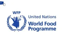 Administration Officer at World Food Programme (WFP) in Borno