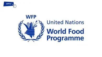 Administration Officer at World Food Programme (WFP) in Borno