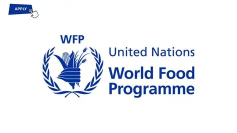Administration Officer at World Food Programme (WFP) in Borno