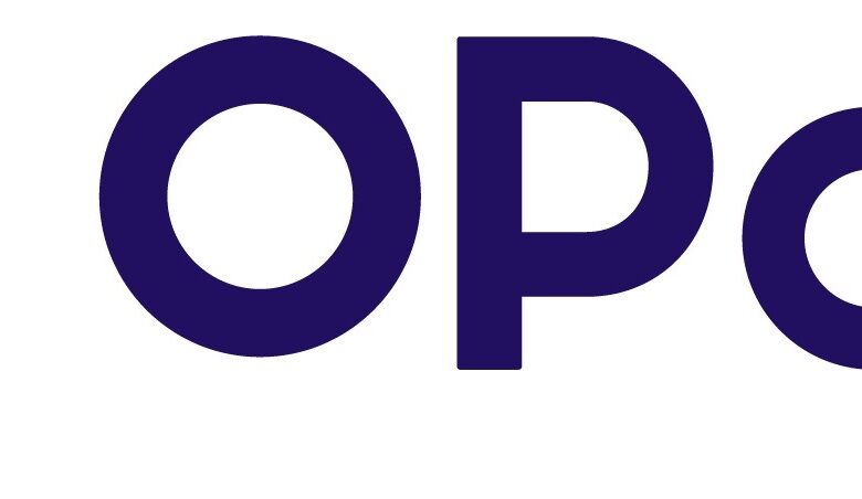 Join the OPay Talent Pipeline: Opportunities for Experienced Professionals & Fresh Graduates