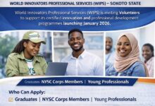 Public Call for Applications: Volunteer Programme Facilitators — WIPS