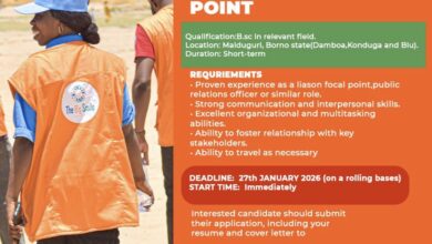 Career Opportunity: Liaison Focal Person – The Big Smile Foundation