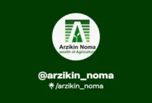 Chain Development at Arzikin Noma