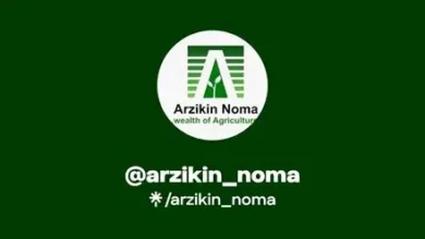 Chain Development at Arzikin Noma
