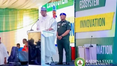 Call for Professional Trainers: Katsina Digital Innovation Hub (KDIH)