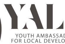 Call for Youth Input: Data Collection for the Katsina Youth Agenda (YALD Project)