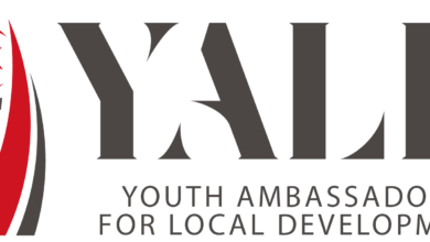 Call for Youth Input: Data Collection for the Katsina Youth Agenda (YALD Project)