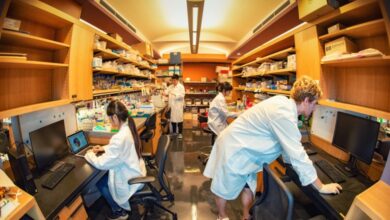 OIST Research Internship Program – STEM Fields (Okinawa, Japan)