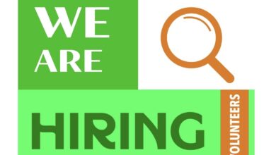 Volunteer Recruitment: Nexus Hub Creative & Social Media Team